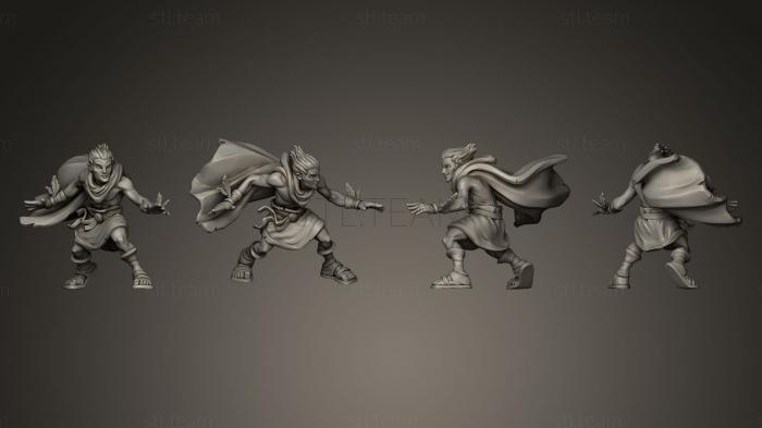 3D model Direwild (STL)